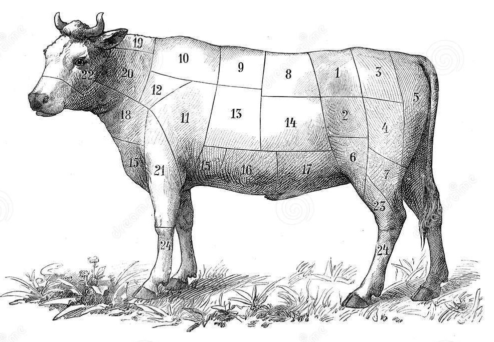 Beef Cuts White.jpg